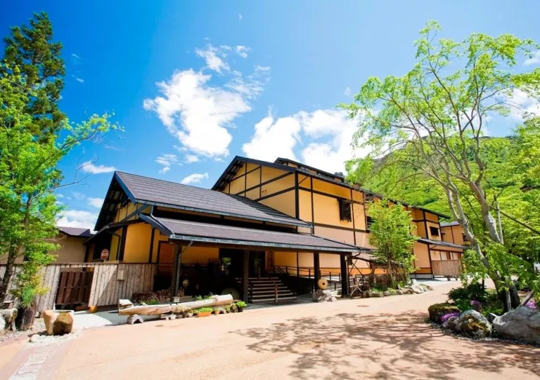 Exterior view of orange and black building, with large trees surrounding the building