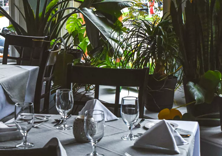Dining table with white cloth and wine glasses, with plants in the background