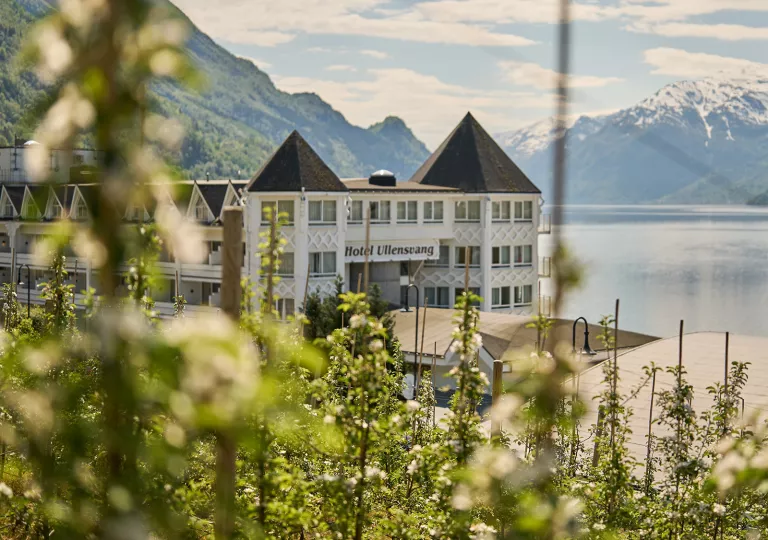 Castle-like white and brown building by a lakefront