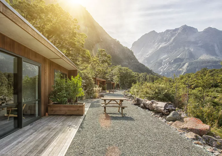Wooden cabin buildings with large windows, with a forest to the right