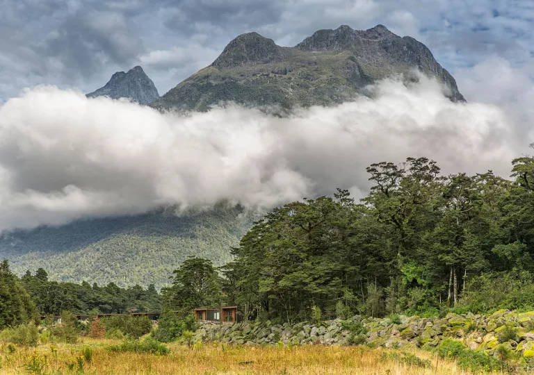 Foggy, large mountain with a forest on the ground level