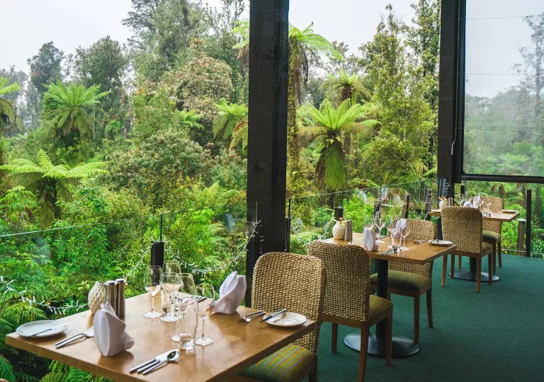 Outdoor patio with square tables and woven chairs, looking out to a forest