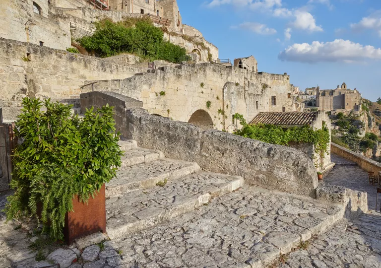 Exterior of stone building with a staircase and plants in front