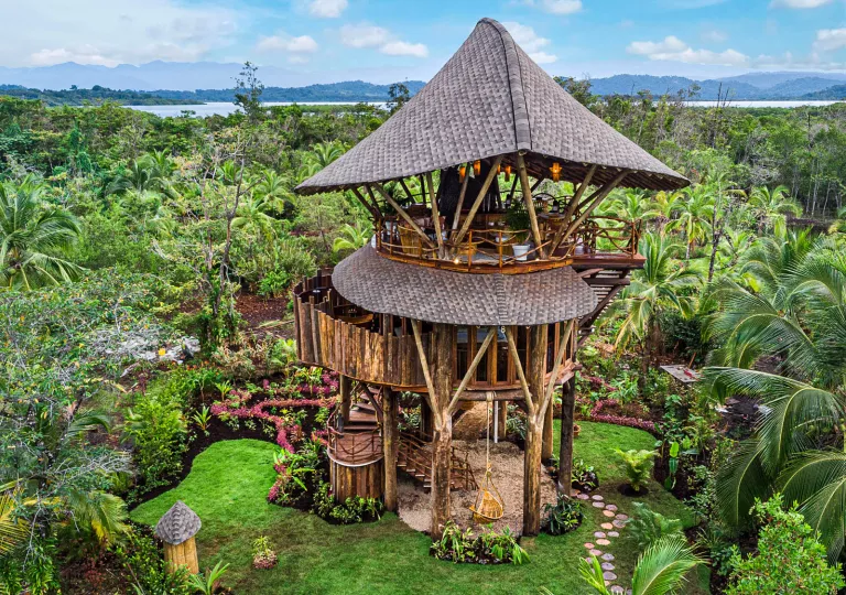 Funky treehouse in the jungle