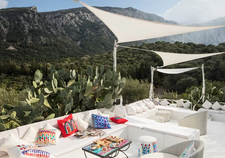 Outdoor patio with large, white couches and large cactus plants in the back