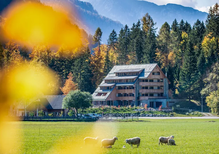 Exterior view of large wooden hotel building with a herd of sheep on a grass valley in front