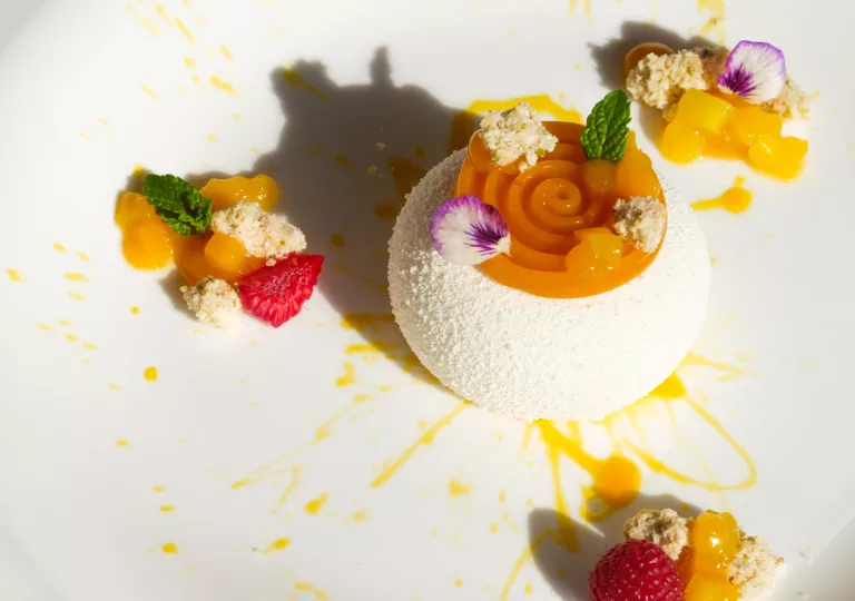 Plated dessert with a white ball and fruit decorations around