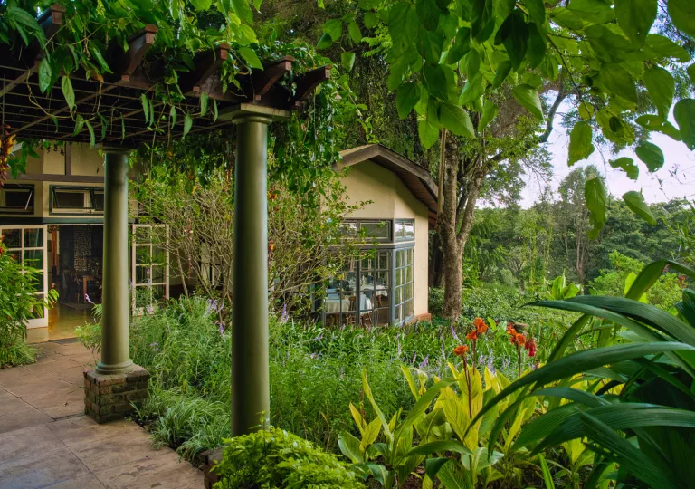Exterior view of beige building surrounded by thick plants and trees