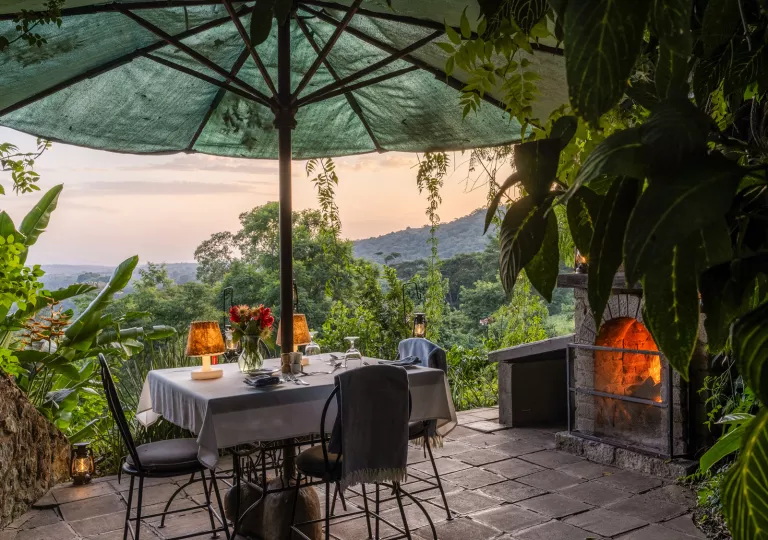 Outdoor dining tables with metal chairs, surrounded by tall trees