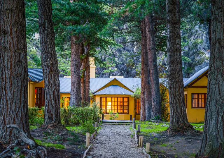 Large, yellow building in the middle of a forest, with rows of tall trees in front