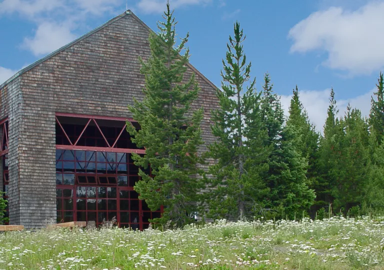 Exterior view of brick house with tall trees and a grass field in front
