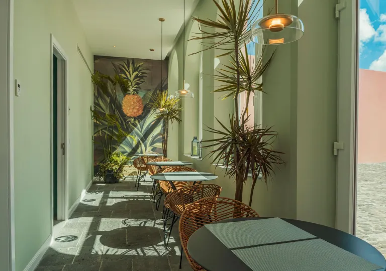 Hallways with large windows and potted plants along the walls