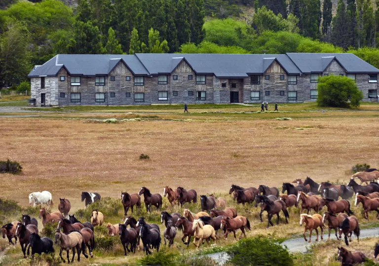 Exterior view of large hotel building with a herd of horses in front