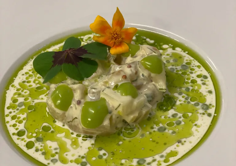White dish with a plated white and green salad