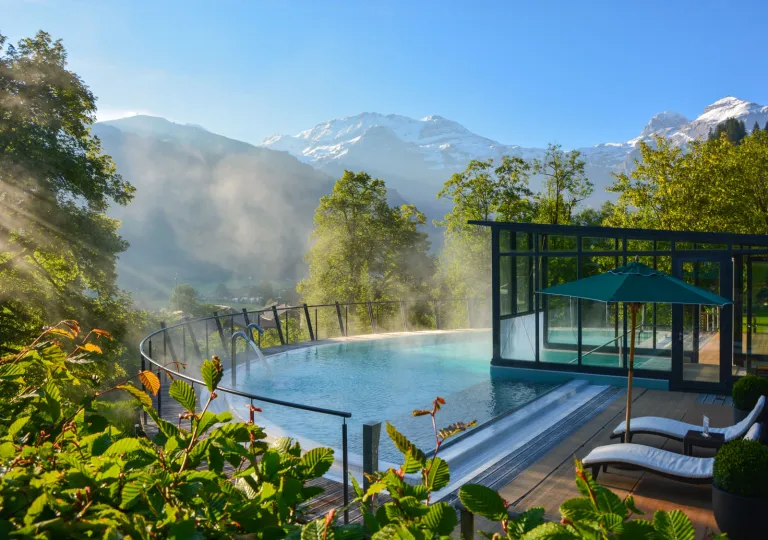 Outdoor spa pool looking out towards a forest