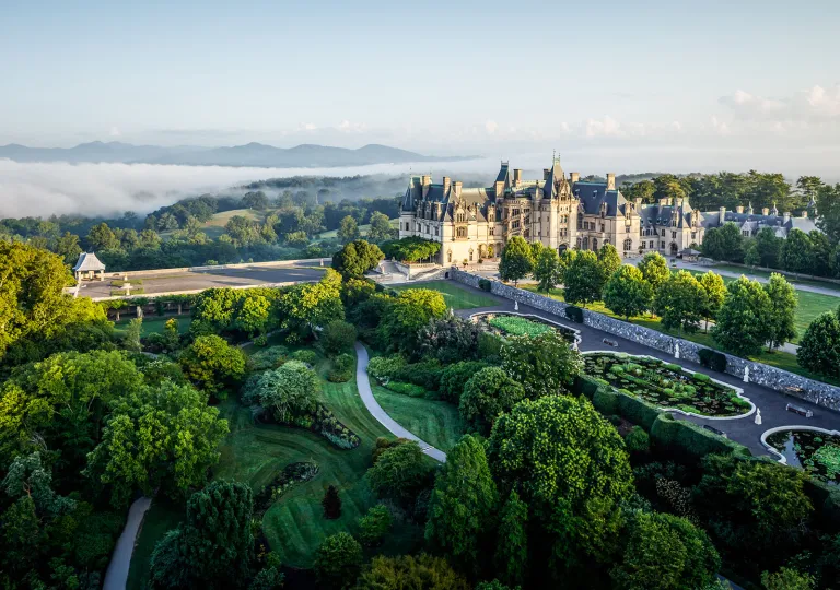 Wide shot view of a castle-like building surrounded by forrest