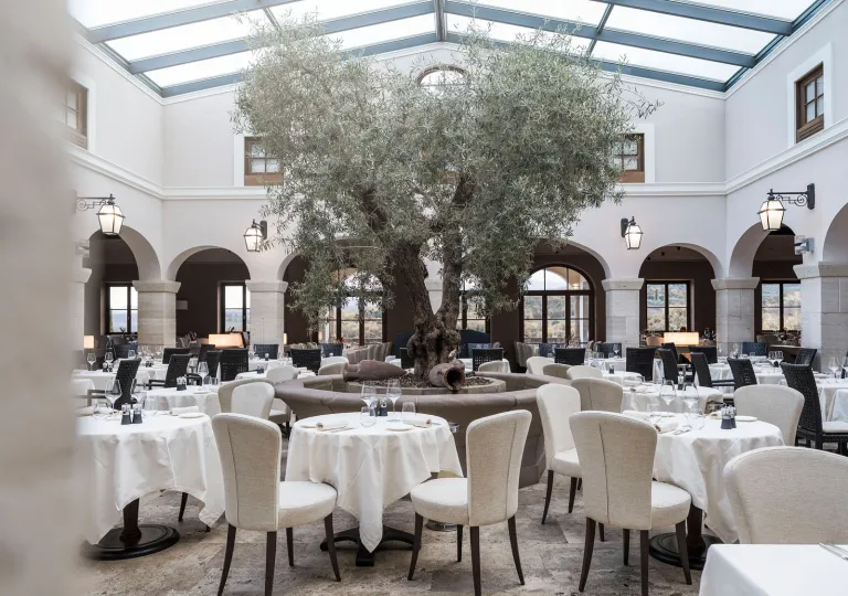 Restaurant dining hall with white tables and chairs with a large tree in the center
