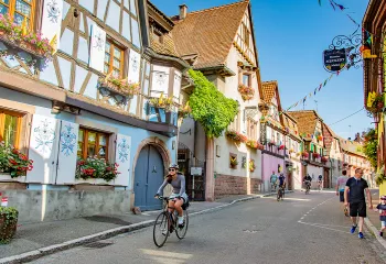 The Backroads Experience 