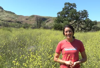 California Wine Country Bike Tour