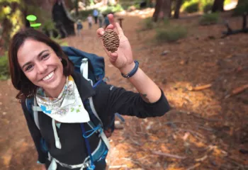 Backroads Hiking Trip in Yosemite