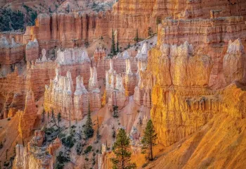 Bryce Canyon at sunset 