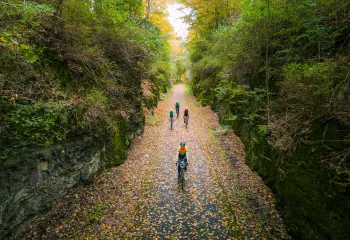 Four bikers on a road full of leaves and surrounded by forest