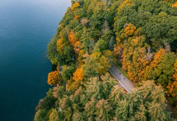 Aerial shot of leaves changing on trees