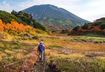 Man hiking in a field of yellow grass, with a large hill in the distance