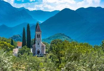Curch building in the middle of tall trees