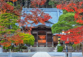 Japanese-style building surrounded by red and green trees