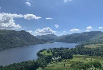 Large lake with grassy area and tall trees to the right