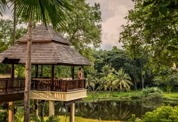 Woman standing on an outdoor patio looking into a jungle and a small lake
