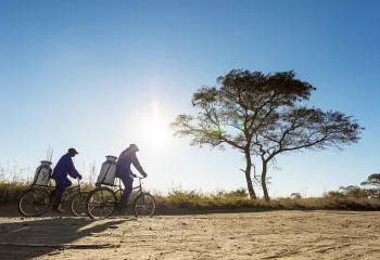 Two people riding bikes with large water bins attached, with a dried tree in the distance