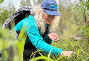 Backroads leader picking berries.