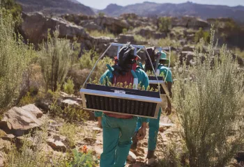 Two people walking with garden planters on their backs