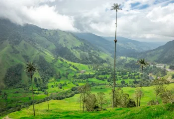 Lush, green Colombia