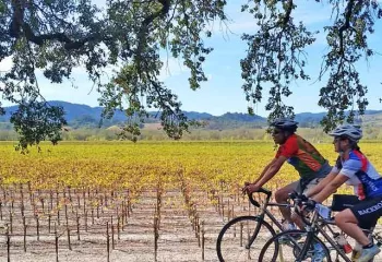 California Wine Country Biking