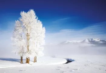 Winter in Yellowstone with Backroads