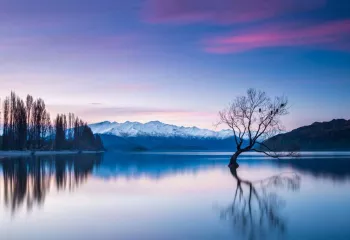Wanaka Tree at Sunset - The Most Photographed Tree in New Zealand