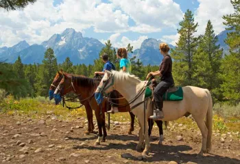 Riding Horses with Backroads in Yellowstone
