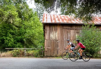 Backroads Bike Tour Wine Country