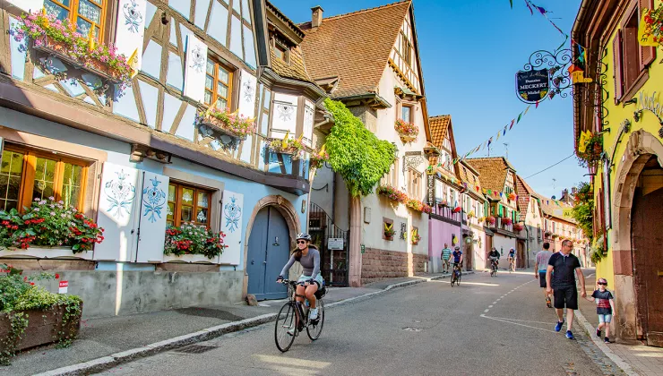 The Backroads Experience 