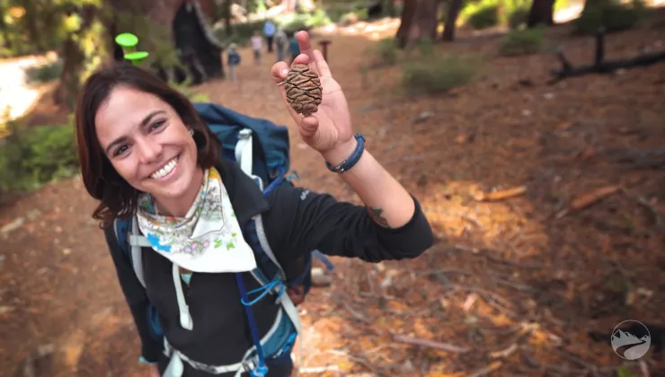 Backroads Hiking Trip in Yosemite