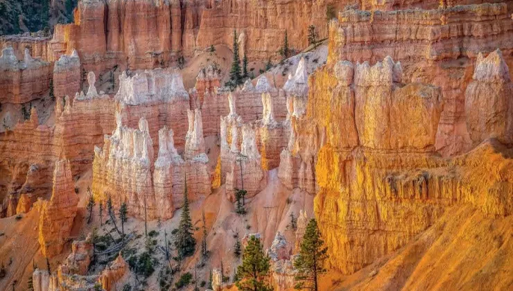 Bryce Canyon at sunset 
