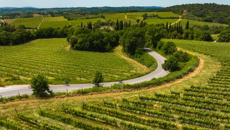 Two guests cycling down vineyard road towards villa.