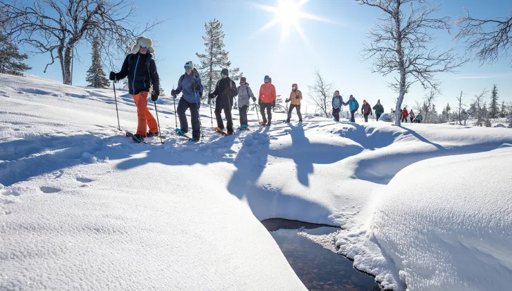 Group Snow Shoeing Creek Iceland