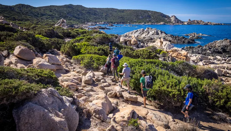 Eight guests hiking on rocky shore, ocean to their right, hills in distance.
