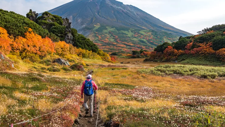 Man hiking in a field of yellow grass, with a large hill in the distance