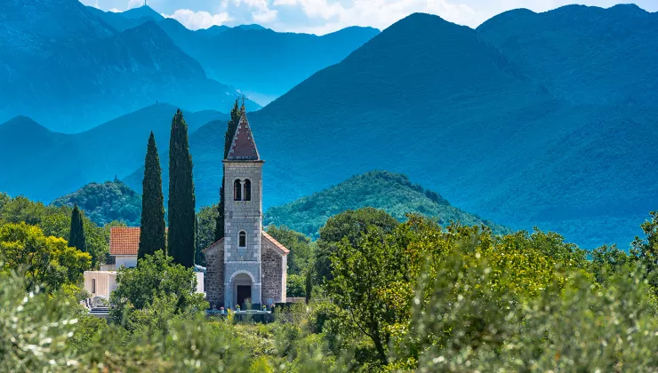 Curch building in the middle of tall trees