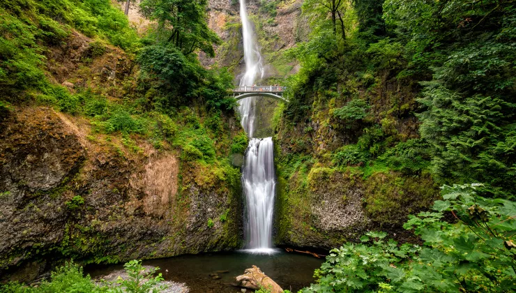 Waterfall in the middle of a cliff in a forest